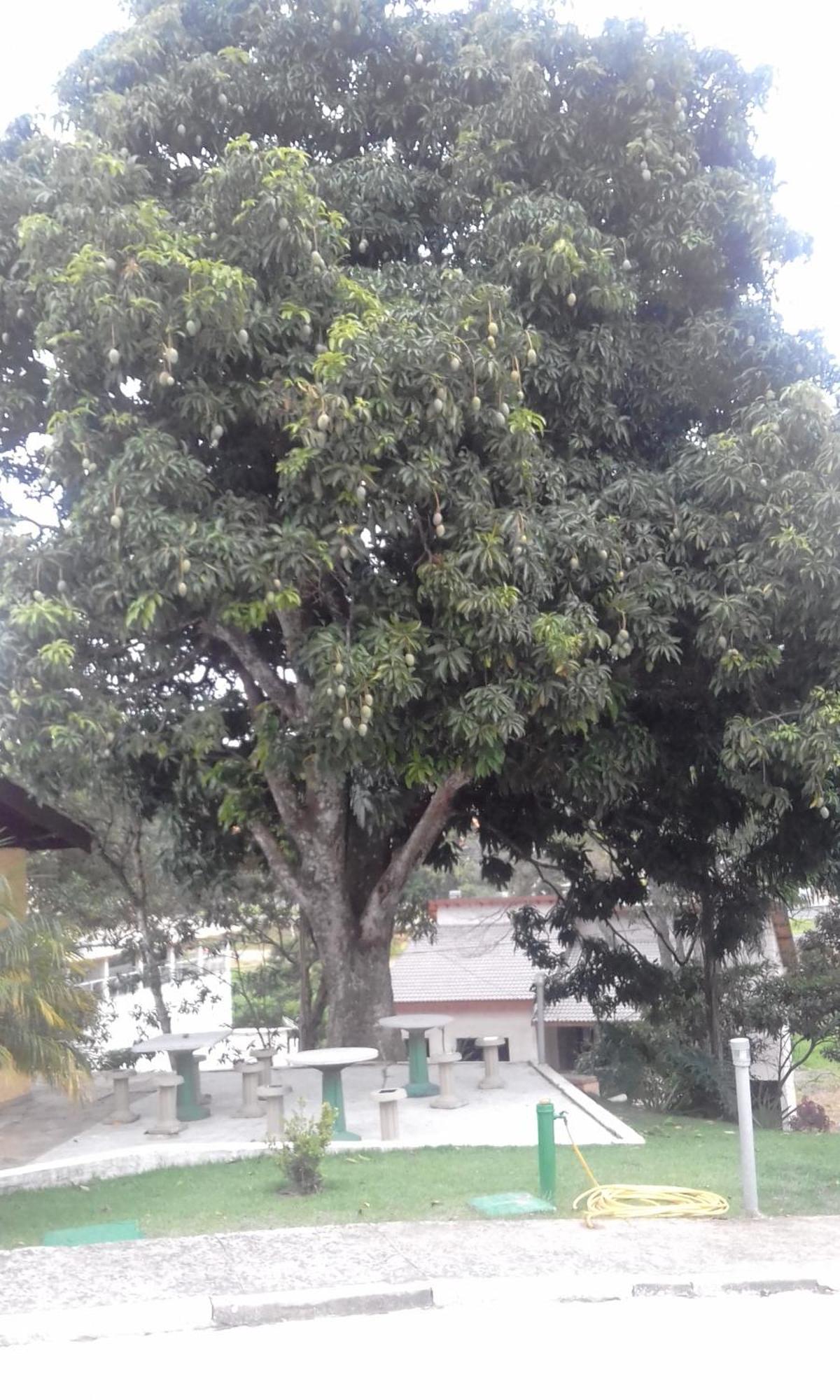 Hotel Pousada Gurupia Serra Negra  Kültér fotó
